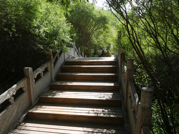 苍头河生态景区