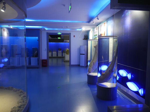 大安市嫩江湾旅游区渔猎博物馆，淡水鱼类标本陈列展厅