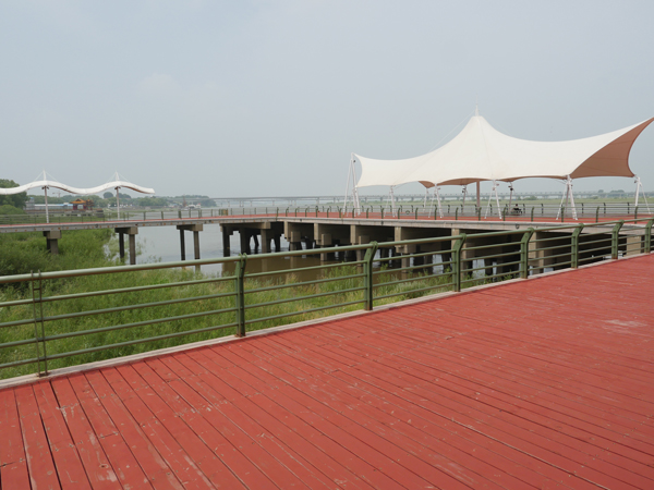 大安市嫩江湾旅游区七月初，观鸥平台