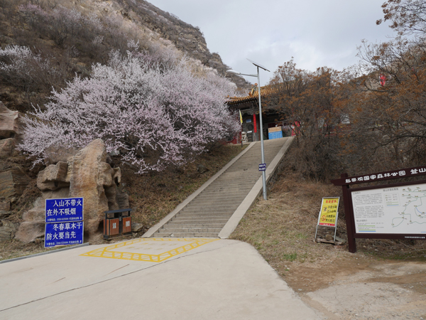 代县赵杲观景区