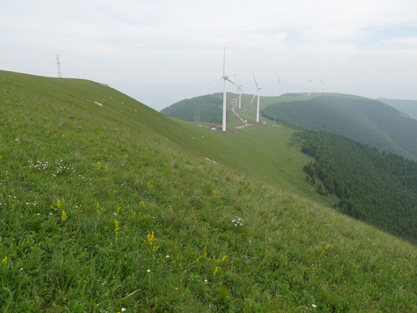 广灵六棱山区域