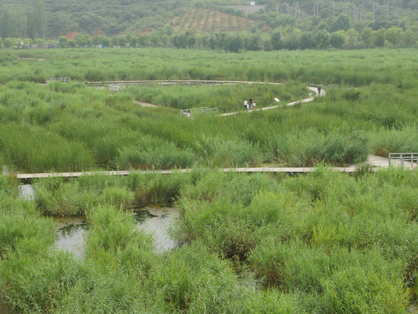 水平口湿地公园