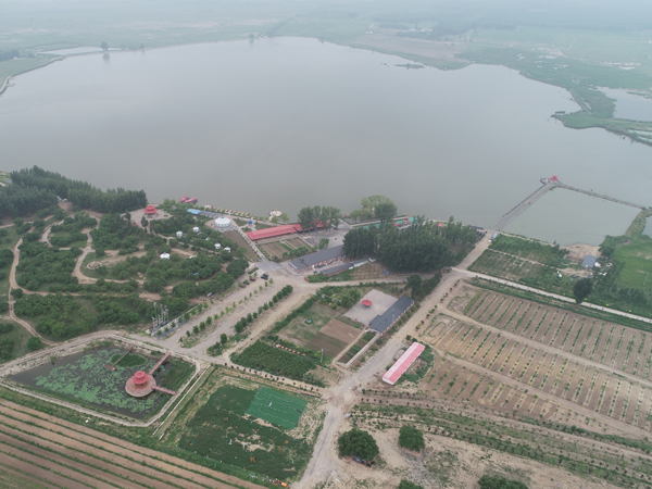 扎鲁特旗东湖风景区六月下旬，左下荷花岛，右侧钓鱼岛