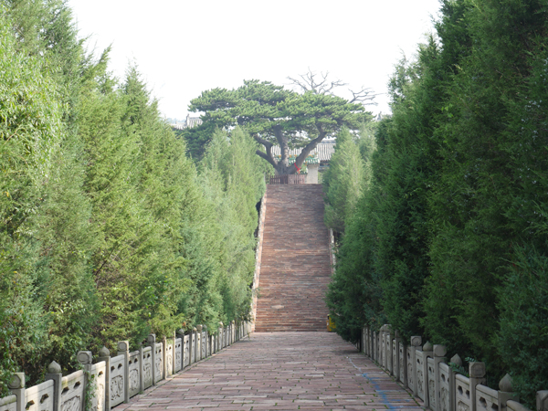 中阳柏洼山