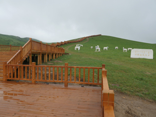 西乌珠穆沁旗，中国白马之乡