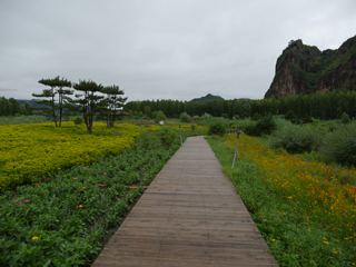 钓鱼台湿地公园