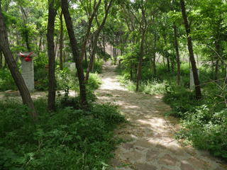滦州（滦县）青龙山景区