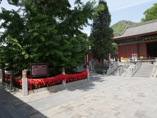 滦州（滦县）青龙山景区