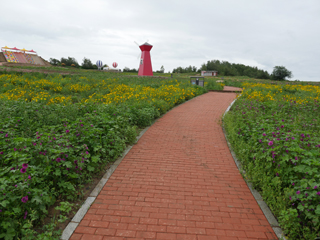 马鞍山国家森林公园