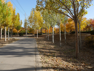 通辽市森林公园