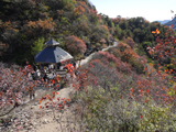 白银坨风景区