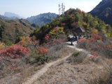 白银坨风景区