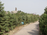 晋中市太古凤凰山森林公园